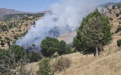 Malatya'da orman yangını: Soğutma çalışmaları sürüyor