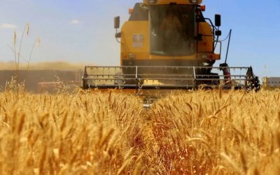 TMO’nun ithalat yoluyla tarım ürünü alımına dair usul ve esaslar belirlendi