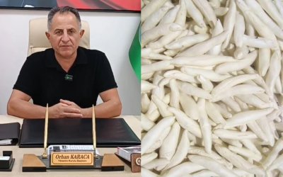 Darende Kenger Sakızı İçin Coğrafi İşaret Başvurusu