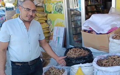 Hasadı başlayan 'sumak' ın kilosu 350 TL'den satılıyor