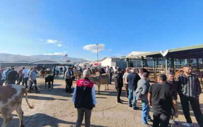 Malatya’da Hayvan Pazarı Yeniden Açıldı
