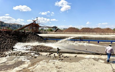 Türkiye Şeker Fabrikaları, 2025-2026 Üretim Yılı Pancar Alım Fiyatını Açıkladı