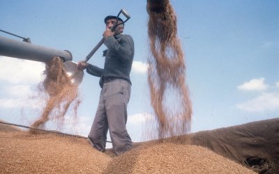 TMO’nun Yeni Satış Fiyatları Açıklandı