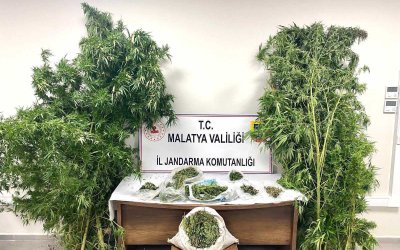 Malatya’da Uyuşturucu Operasyonlarında 16 Şüpheli Tutuklandı