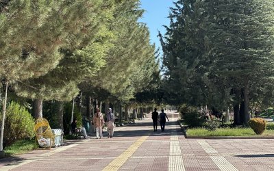 İnönü Üniversitesi Öğrencilerine Ücretsiz Ulaşım Müjdesi