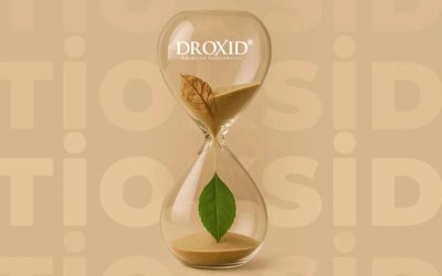 Zihin Gücü ve Hafıza: Antioksidanlar Beyin Fonksiyonlarını ve Nöronları Nasıl Korur?