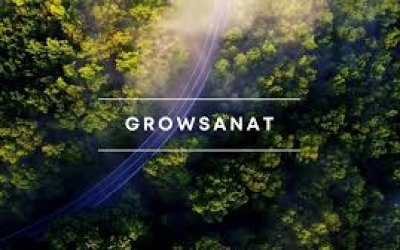 Bitki Yetiştirme Alanında Kusursuz Koku Yönetiminin Sırrı Nedir?