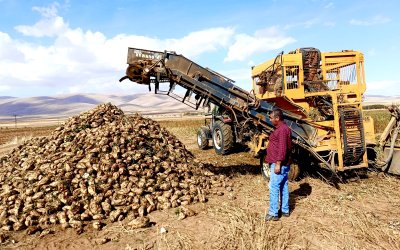 Çiftçi Pancar Ekiyor Ama Emeğinin Karşılığını Alamıyor