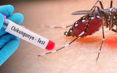 Çin'de Chikungunya ateşi hastalığı yayılıyor