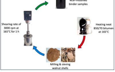 Ceviz Kabuğundan Bilim Doğdu: Malatya Dünyaya Yeşil Yol Açtı