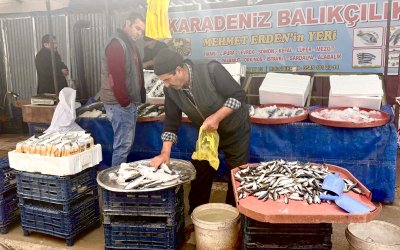 Darende’de Hamsi ve Somun Tezgâhlardan Kapış Kapış Gidiyor