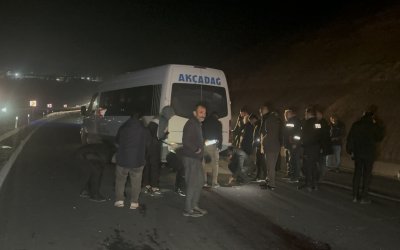 Kaçan Yarış Tayları Facia Yarattı: 8 Tay Telef Oldu