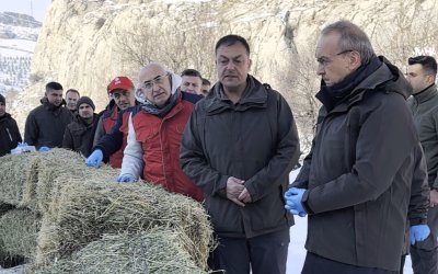 Vali Seddar Yavuz: Kış Şartlarında Zorlanan Yaban Hayvanları İçin Sahadayız