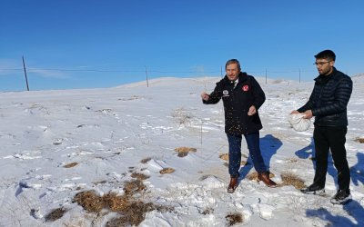 Darende’de Zorlu Kış Şartlarında Yaban Hayvanları İçin Yemleme Çalışması