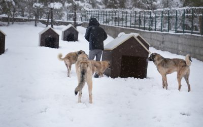 Battalgazi’de Malatya’nın İkinci Hayvan Barınağı Hizmete Başladı