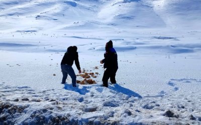 Doğanşehir’de Yaban Hayvanları İçin Örnek Duyarlılık