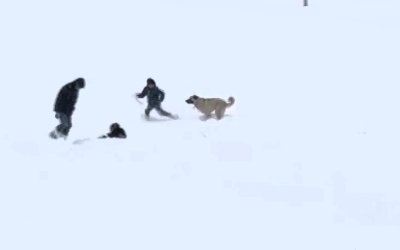 Arguvan’da Kar Neşesi: Çocuklar Oynadı, Can Dostta Onlara Katıldı