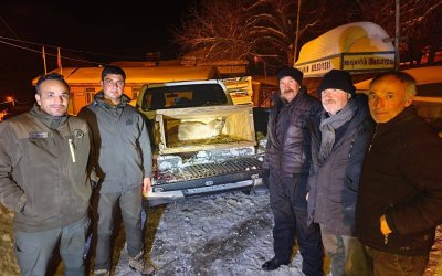 Kıştan Kaçtı, Köye Sığındı: Yavru Dağ Keçisi Koruma Altında