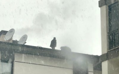 Malatya’da TOKİ Evlerinde Çatıya Çıkan İşçi İndirildi: Darp İddiası