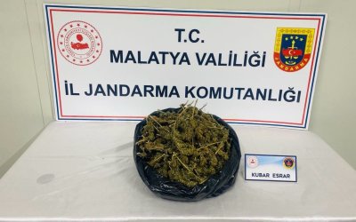 Narkotik Operasyonunda 1 Kişi Gözaltına Alındı