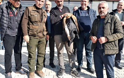 Yeşilyurt’ta Yaralı Kızıl Şahin Duyarlı Vatandaşlarca Kurtarıldı