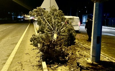 Malatya’da Fırtınalı Gece Hasara Yol Açtı