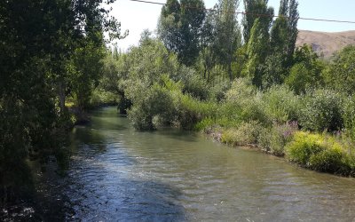 Tohma Çayı’nın Ekolojik Sağlığı Bilimsel Olarak Ortaya Kondu