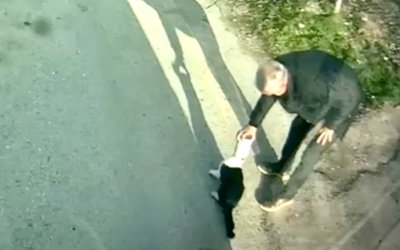 Kafasına Konserve Kutusu Sıkışan Kediyi MOTAŞ Şöförü Kurtardı