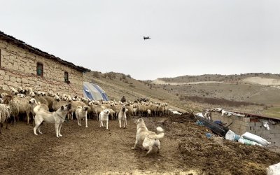 Yazıhan’da Kangal’lardan Drone’a Geçit Yok