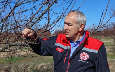 Akar: “Kayısıda Bu Yıl Üreticimizin Beklediği Verimi Almayı Umuyoruz”