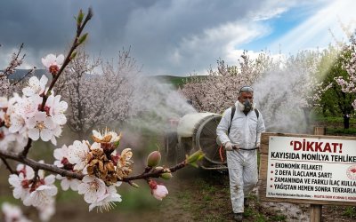 Malatya Tarım İl Müdürlüğü'nden Kayısı Üreticilerine Hayati Uyarı: Monilya Kapıda!