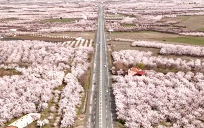 Kale’de Kayısı Ağaçları Çiçek Açtı, Umutlar Yeniden Yeşerdi