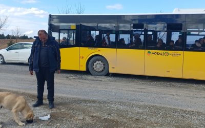 MOTAŞ Şoföründen Yürek Isıtan Hareket: Topallayan Köpeğin Ayağındaki Taşı Çıkardı