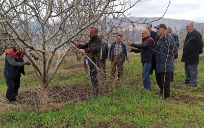 Kale İlçesinde Uygulamalı Meyve Ağacı Budama Eğitimi Verildi