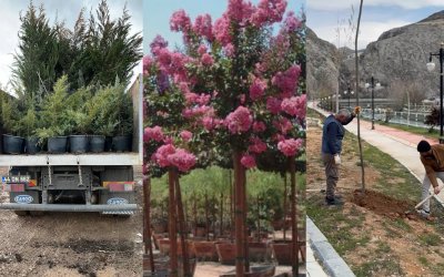 Darende’de 7 Bin 312 Fidan Toprakla Buluşturuldu