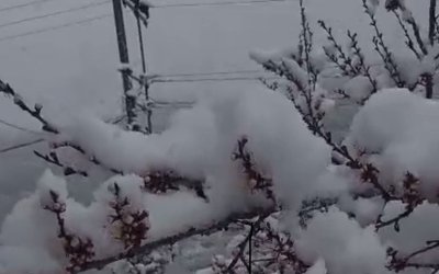 Sürgü’de Çiftçiler Zirai Don Nöbetinde