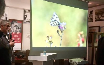 Malatya Kelebek Çeşitliliğiyle İlk 5’te