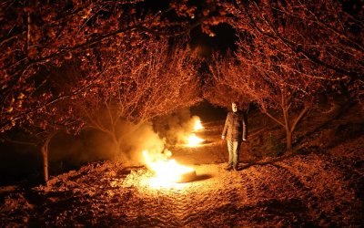 Malatya'da Kayısı da Zirai Don Riski Sürüyor mu?