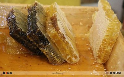 Balda Sahteciliğe Karşı Yeni Düzenleme