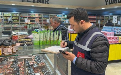Mart Ayında 784,6 Milyon TL Ceza: 130 Bin Firma Denetlendi