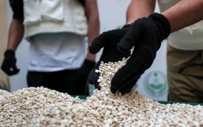 Sudan, Kaptagonun Yeni Merkezi mi? Savaş, Çöküş ve Karanlık Ağlar