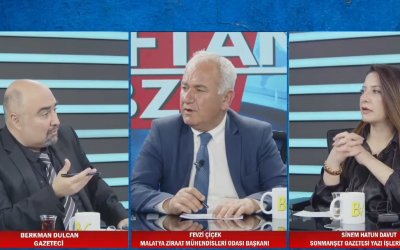 Malatya Kayısısında Kritik Eşik: Dolu Felaketi, İklim Krizi ve Marka Tehdidi Altındaki "Dünya Başkenti"