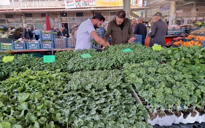 Pazardaki Fiyatlar Artınca Vatandaş Fideliğe Koştu
