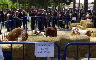 Yazıhan’da Dünya Çiftçiler Günü Coşkuyla Kutlandı