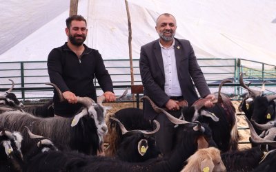Kurban Pazarında Hareketlilik Başladı