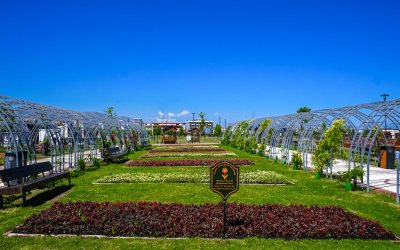 Malatya’da Parklar ve Kavşaklar Çiçeklerle Süslendi