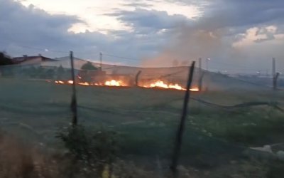 Otlar Alev Aldı, İtfaiye Zamanında Yetişti