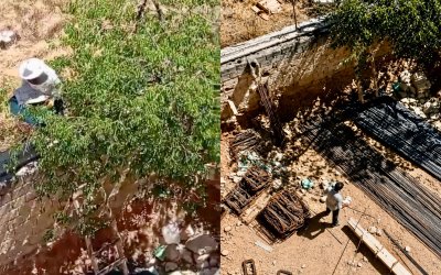 Battalgazi'de İnşaat Alanını Arı Sürüsü Bastı