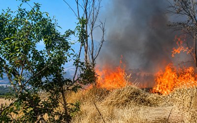 Valilikten Çiftçilere Anız Yakma Uyarısı: Cezai İşlem Uygulanacak