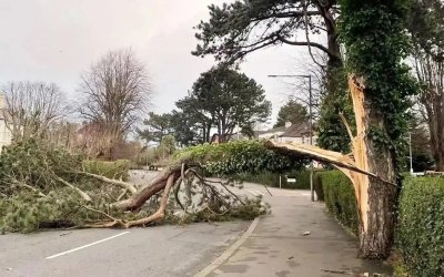 Meteoroloji'den Kuvvetli Rüzgâr Uyarısı